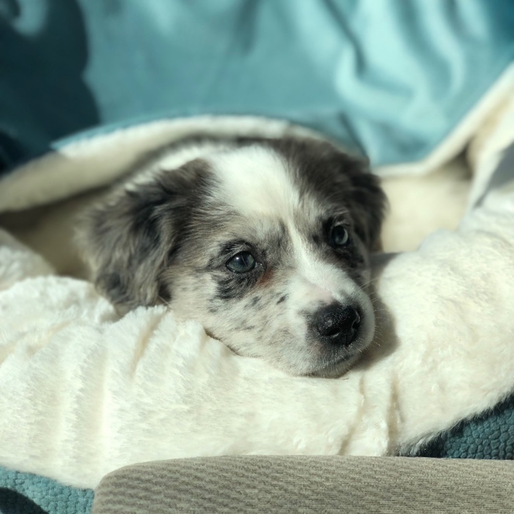 Meet your Posher, Ana